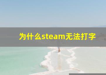 为什么steam无法打字