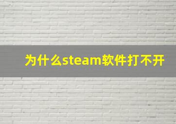 为什么steam软件打不开