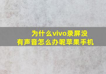 为什么vivo录屏没有声音怎么办呢苹果手机