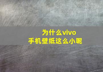 为什么vivo手机壁纸这么小呢