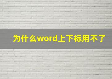 为什么word上下标用不了