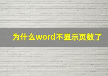 为什么word不显示页数了