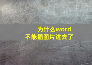 为什么word不能插图片进去了