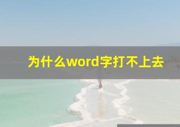 为什么word字打不上去