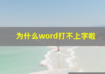 为什么word打不上字啦