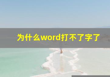 为什么word打不了字了