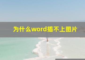 为什么word插不上图片