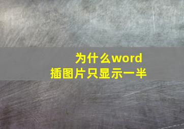 为什么word插图片只显示一半