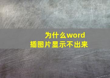 为什么word插图片显示不出来