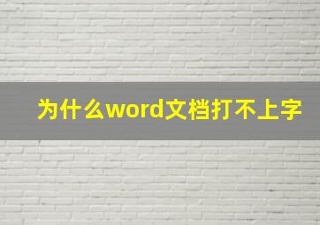 为什么word文档打不上字