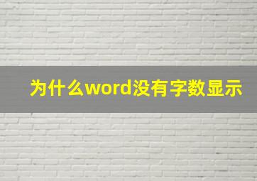 为什么word没有字数显示