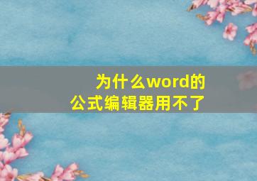 为什么word的公式编辑器用不了