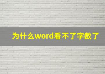 为什么word看不了字数了