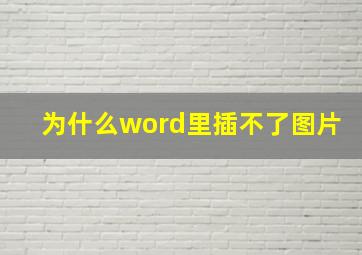 为什么word里插不了图片