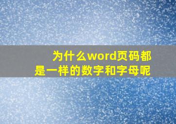 为什么word页码都是一样的数字和字母呢