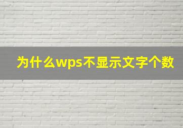 为什么wps不显示文字个数