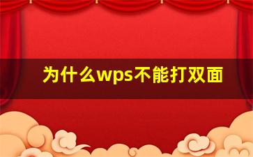 为什么wps不能打双面