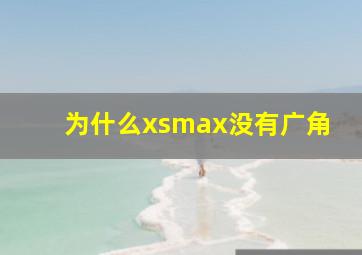 为什么xsmax没有广角