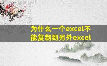 为什么一个excel不能复制到另外excel