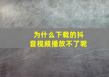 为什么下载的抖音视频播放不了呢