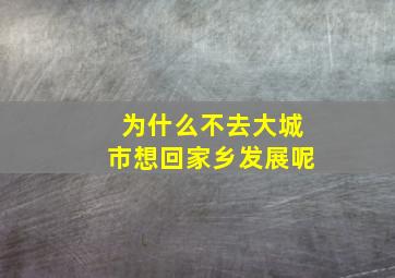 为什么不去大城市想回家乡发展呢