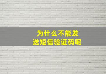 为什么不能发送短信验证码呢