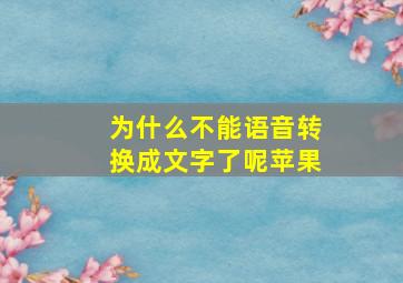 为什么不能语音转换成文字了呢苹果