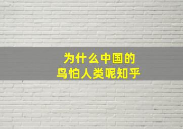 为什么中国的鸟怕人类呢知乎