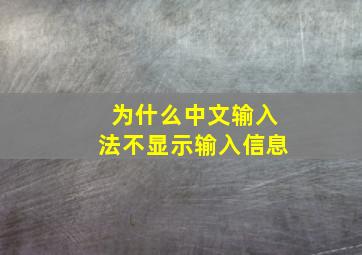 为什么中文输入法不显示输入信息