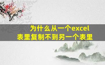 为什么从一个excel表里复制不到另一个表里