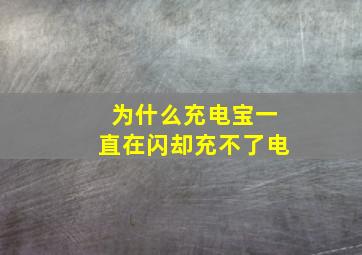 为什么充电宝一直在闪却充不了电