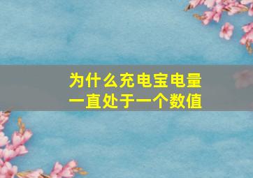 为什么充电宝电量一直处于一个数值