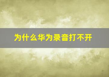 为什么华为录音打不开