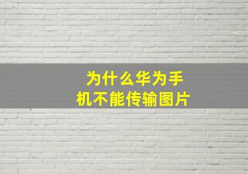 为什么华为手机不能传输图片