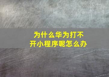 为什么华为打不开小程序呢怎么办