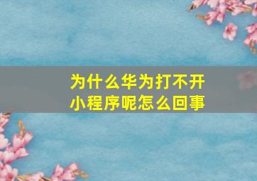 为什么华为打不开小程序呢怎么回事