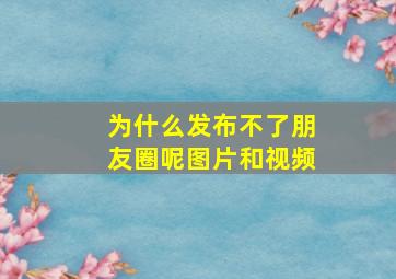 为什么发布不了朋友圈呢图片和视频