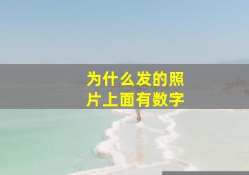 为什么发的照片上面有数字