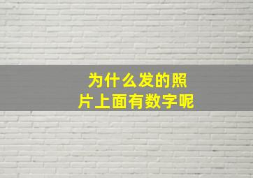 为什么发的照片上面有数字呢