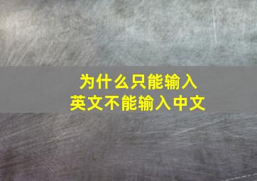 为什么只能输入英文不能输入中文