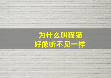 为什么叫猫猫好像听不见一样