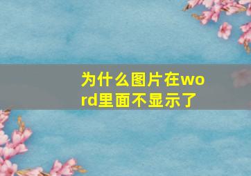 为什么图片在word里面不显示了