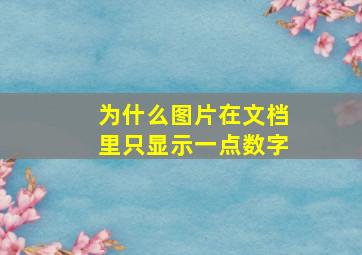 为什么图片在文档里只显示一点数字