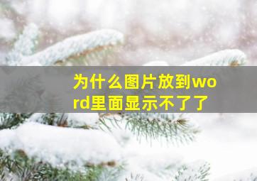 为什么图片放到word里面显示不了了