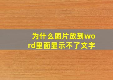 为什么图片放到word里面显示不了文字