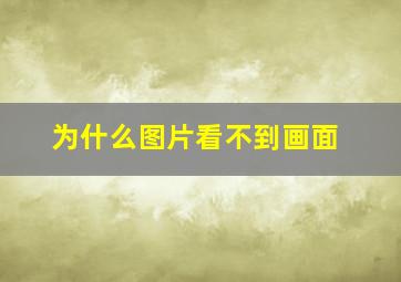 为什么图片看不到画面