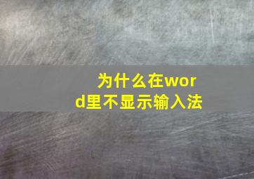 为什么在word里不显示输入法