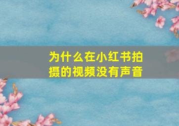 为什么在小红书拍摄的视频没有声音