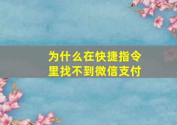 为什么在快捷指令里找不到微信支付