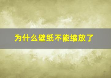 为什么壁纸不能缩放了